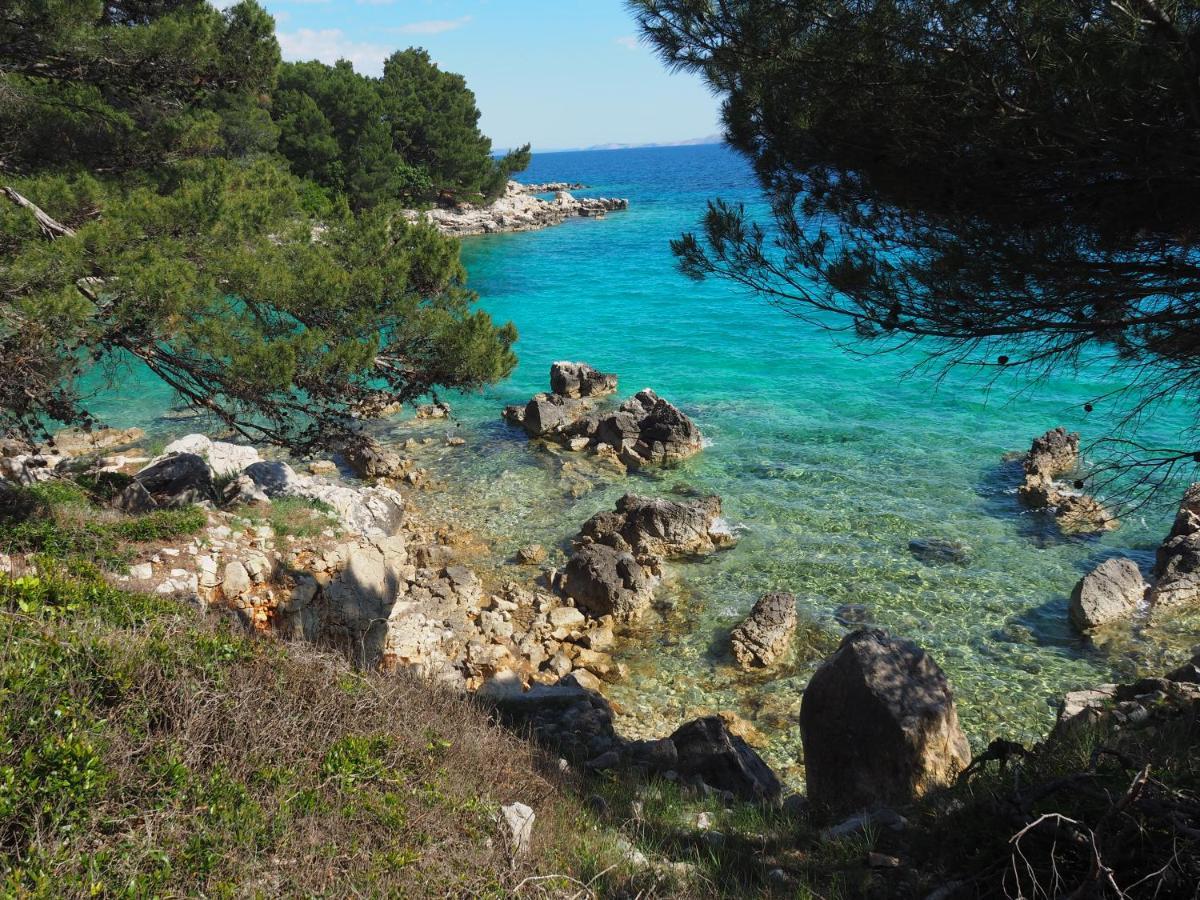 Apartment Rose Garden Sveti Filip i Jakov Εξωτερικό φωτογραφία